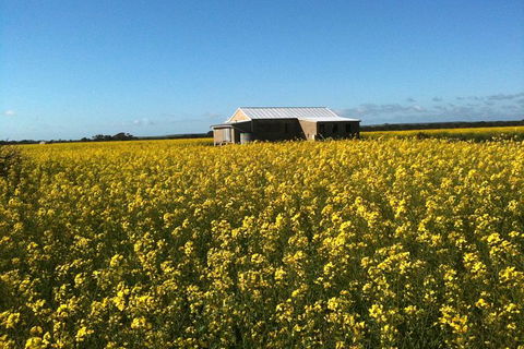 Fine Flavours - Full Day Kangaroo Island Food & Wine Tour - Accommodation Mount Tamborine 11