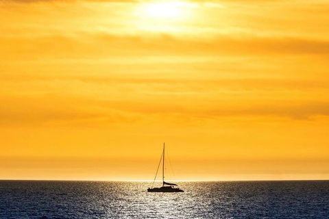 Adelaide Twilight Coast Sightseeing Cruise From Glenelg - Accommodation Mount Tamborine 0
