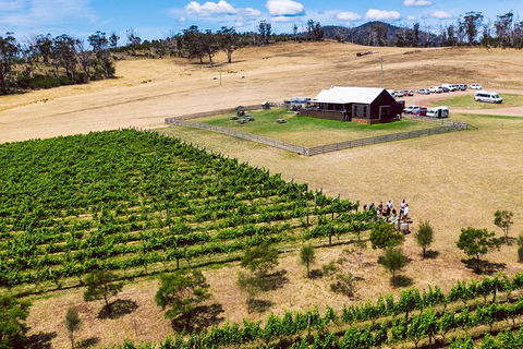 Tasmanian Wine Tour - Accommodation Mount Tamborine 7