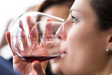 Tasmanian Wine Tour - Accommodation Mount Tamborine 1