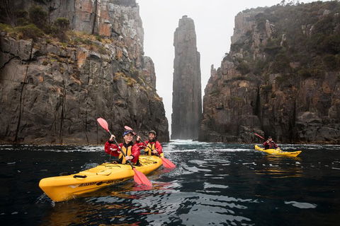 Tasman Peninsula Full Day Kayaking Tour - Accommodation Mount Tamborine 6