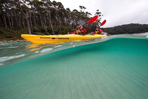 Tasman Peninsula Full Day Kayaking Tour - Accommodation Mount Tamborine 5