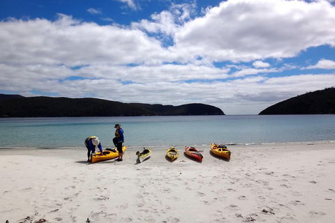 Tasman Peninsula Full Day Kayaking Tour - Accommodation Mount Tamborine 3