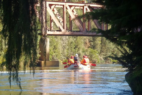 King River Rafting Day Trip From Queenstown To Strahan And Return Including The West Coast Wilderness Railway - Accommodation Mount Tamborine 1