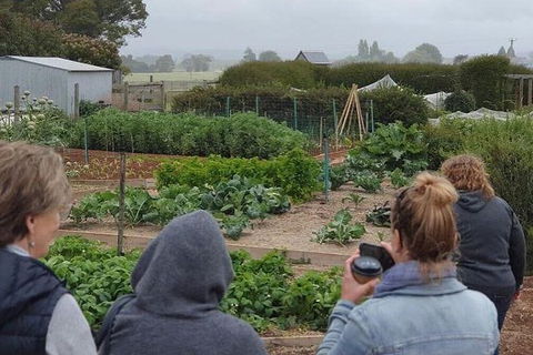Unearthed Chefs Tour - Accommodation Mount Tamborine 17