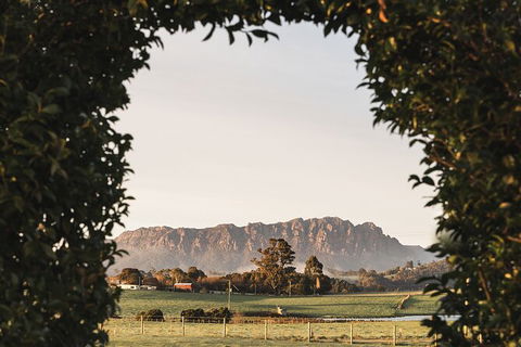 Unearthed Chefs Tour - Accommodation Mount Tamborine 2