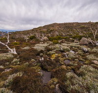 Alpine Loop - Accommodation Mount Tamborine