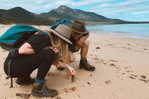 Freycinet Walking Tour - Accommodation Mount Tamborine 0