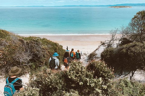 Freycinet Walking Tour - Accommodation Mount Tamborine 2