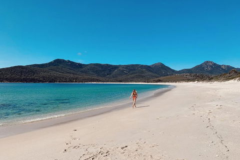 Freycinet Walking Tour - Accommodation Mount Tamborine 5