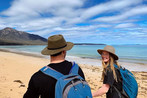 Freycinet Walking Tour - Accommodation Mount Tamborine 4