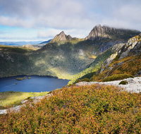 Cradle Mountain Private Charter Service - Accommodation Mount Tamborine