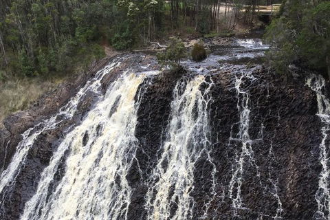 Cruise Ship Excursion: Stanley - Accommodation Mount Tamborine 15