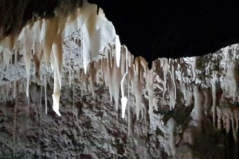 Shore Excursion: Coast, Caves And Wildlife Park - 8 Hour Tour - Accommodation Mount Tamborine 21