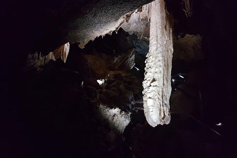 Shore Excursion: Coast, Caves And Wildlife Park - 8 Hour Tour - Accommodation Mount Tamborine 12