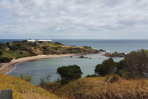 Shore Excursion: Coast, Caves And Wildlife Park - 8 Hour Tour - Accommodation Mount Tamborine 0