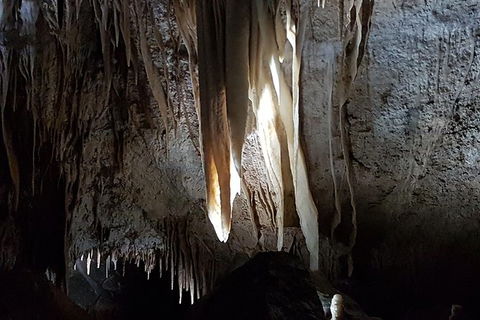 Shore Excursion: Coast, Caves And Wildlife Park - 8 Hour Tour - Accommodation Mount Tamborine 7