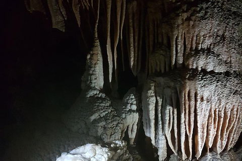 Shore Excursion: Coast, Caves And Wildlife Park - 8 Hour Tour - Accommodation Mount Tamborine 8