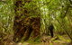 3-Day Southwest National Park Wilderness Camping Tour - thumb 4