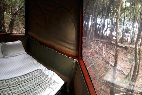 3-Day Southwest National Park Wilderness Camping Tour - Accommodation Mount Tamborine 7