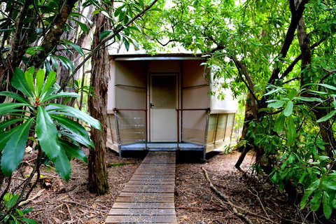 3-Day Southwest National Park Wilderness Camping Tour - Accommodation Mount Tamborine 2
