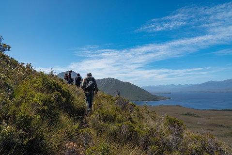 3-Day Southwest National Park Wilderness Camping Tour - Accommodation Mount Tamborine 1