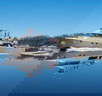 4-Day Cruise Expedition of Southwest Tasmania's World Heritage from Hobart - Accommodation Mount Tamborine