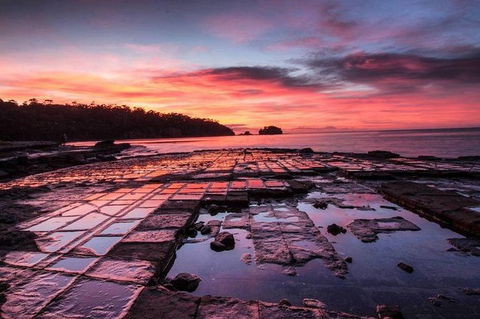 5 Day 4 Night Guided Tasmania Tour - Accommodation Mount Tamborine 4