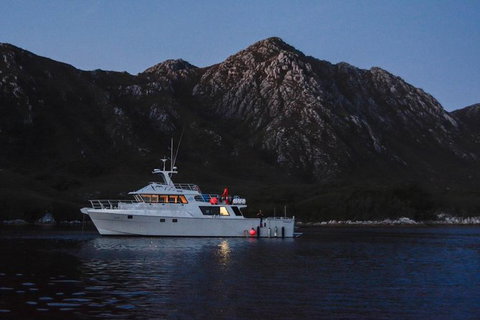 5-Day Expedition Of Bathurst Harbour And Port Davey On-Board MV Odalisque From Hobart - Accommodation Mount Tamborine 1