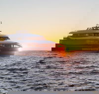 Afternoon Gordon River Dinner Cruise - departing 3pm - Accommodation Mount Tamborine