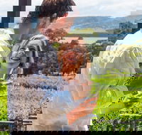 Hobart Afternoon Wine Tour Saturday Local Wines  Cheese  Guide