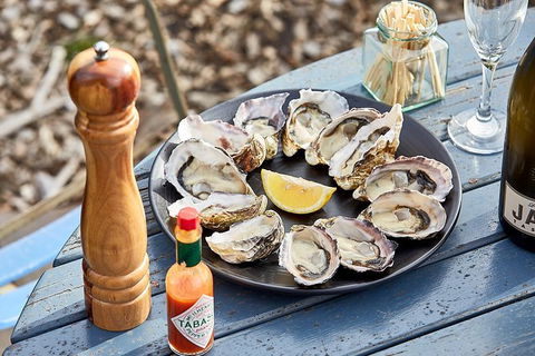 Bruny Island Private Charter Service - Accommodation Mount Tamborine 7