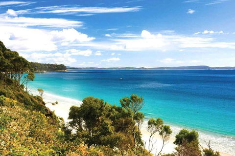 Bruny Island Private Charter Service - Accommodation Mount Tamborine 1