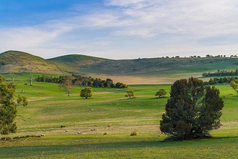 Mount Field Private Charter Service - Accommodation Mount Tamborine 4