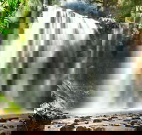 Mount Field Private Charter Service