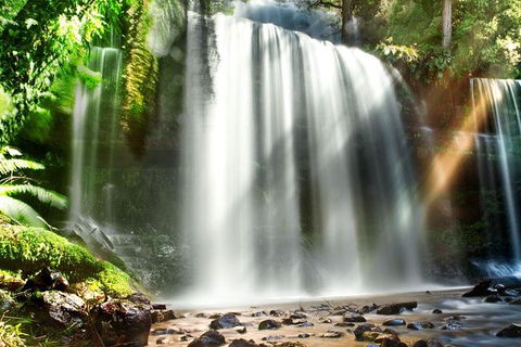 Mount Field Private Charter Service - Accommodation Mount Tamborine 0