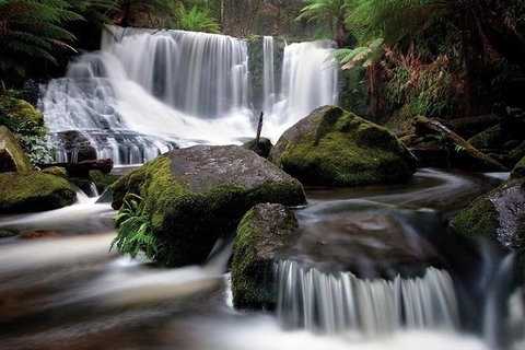 Highlights Of Tasmania Premium Small Group 7 Days Touring Package - Accommodation Mount Tamborine 7