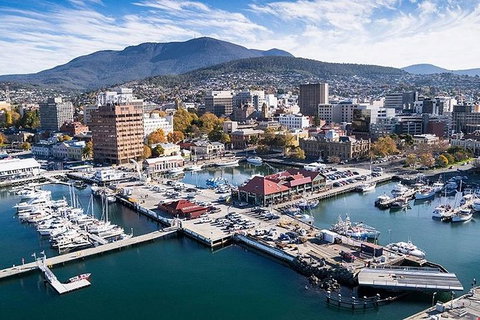 Highlights Of Tasmania Premium Small Group 7 Days Touring Package - Accommodation Mount Tamborine 11