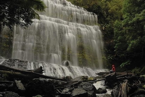 Highlights Of Tasmania Premium Small Group 7 Days Touring Package - Accommodation Mount Tamborine 13