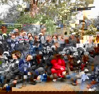 Bonorong Wildlife Volunteer Tour