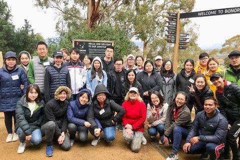 Bonorong Wildlife Volunteer Tour - Accommodation Mount Tamborine 0