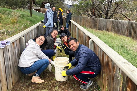 Bonorong Wildlife Volunteer Tour - Accommodation Mount Tamborine 6