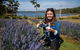 Discover Hobart: Port Arthur And Lavender Farm 1 Day Tour - thumb 2