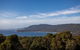 Discover Hobart: Port Arthur And Lavender Farm 1 Day Tour - thumb 5