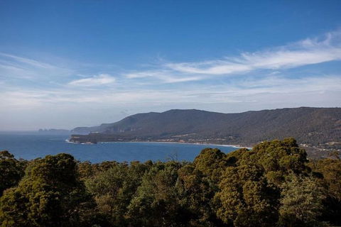 Discover Hobart: Port Arthur And Lavender Farm 1 Day Tour - Accommodation Mount Tamborine 5