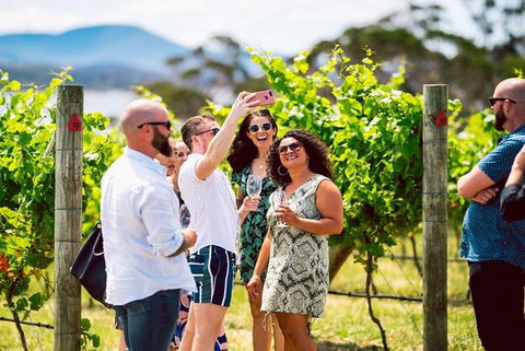 Hobart: Highlights Of Tasmanian Wine Full Day Tour - Accommodation Mount Tamborine 3