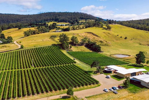 Hobart: Highlights Of Tasmanian Wine Full Day Tour - Accommodation Mount Tamborine 4