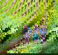 Hobart Highlights of Tasmanian Wine Full Day Tour