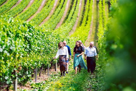 Hobart: Highlights Of Tasmanian Wine Full Day Tour - Accommodation Mount Tamborine 0