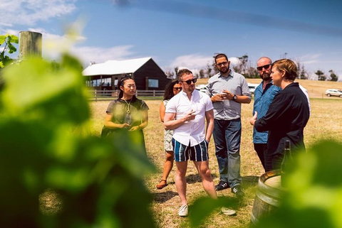 Hobart: Highlights Of Tasmanian Wine Full Day Tour - Accommodation Mount Tamborine 2